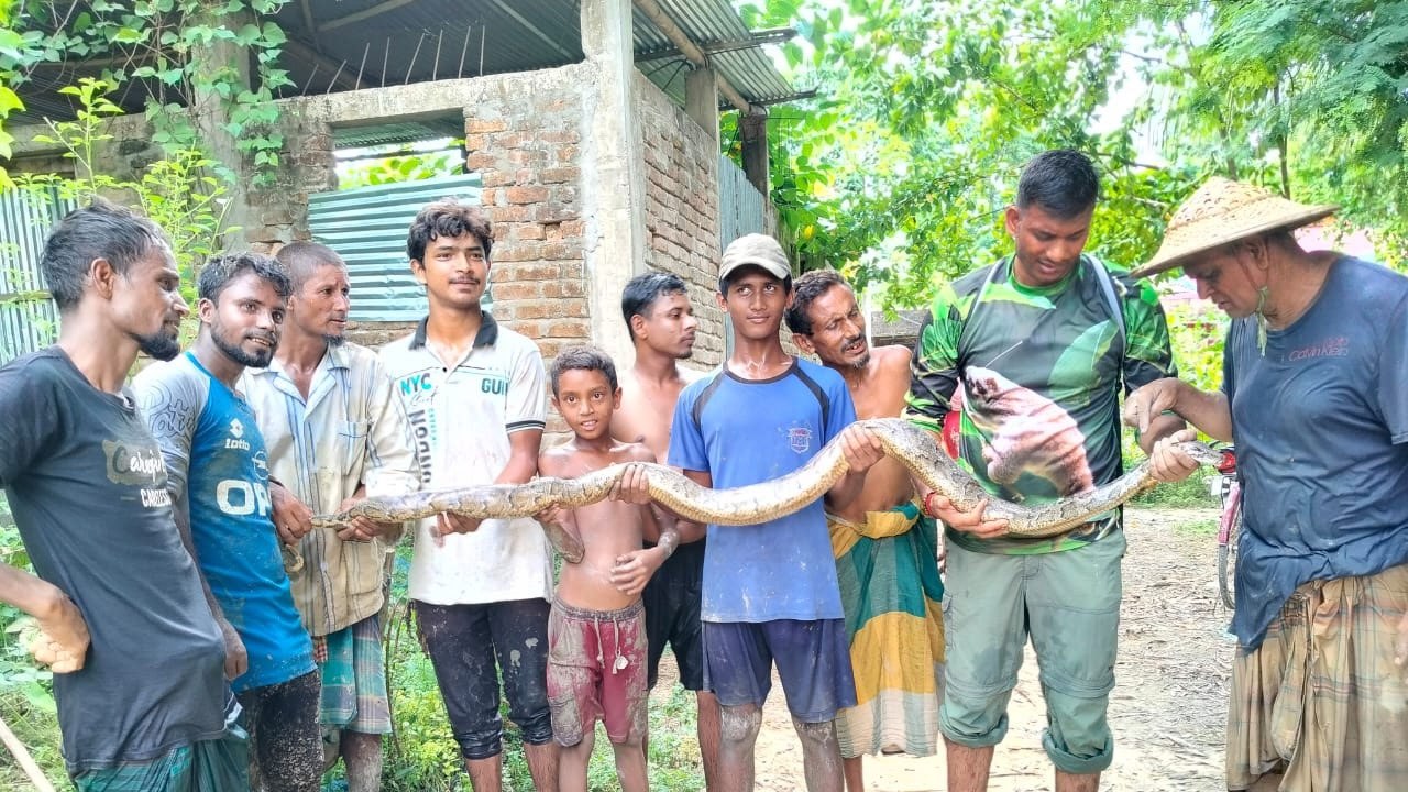 লোকালয়ে বেরিয়ে আসা ৭ ফুট লম্বা অজগর উদ্ধার