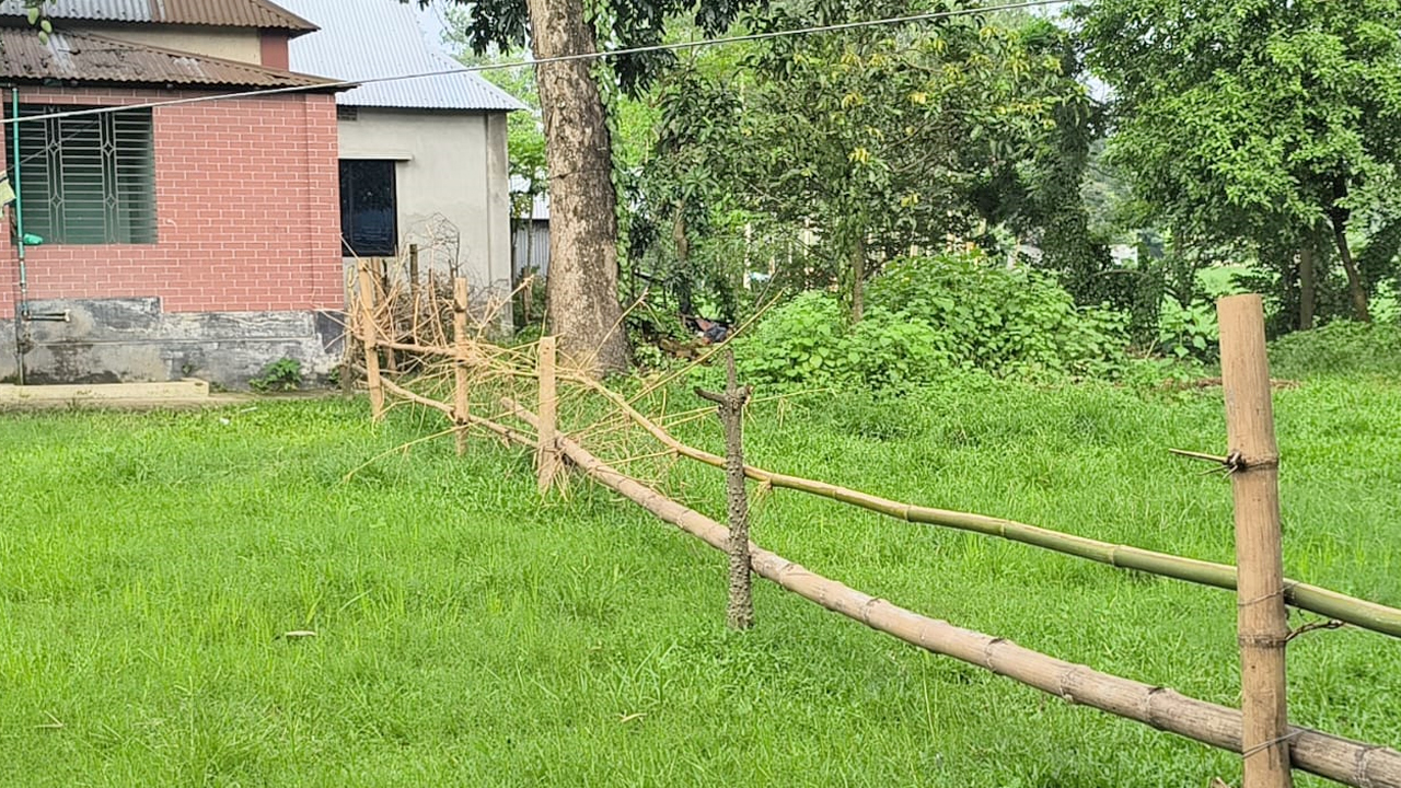 বিধবার জমিতে প্রতিপক্ষের বাঁশের বেড়া স্থাপন