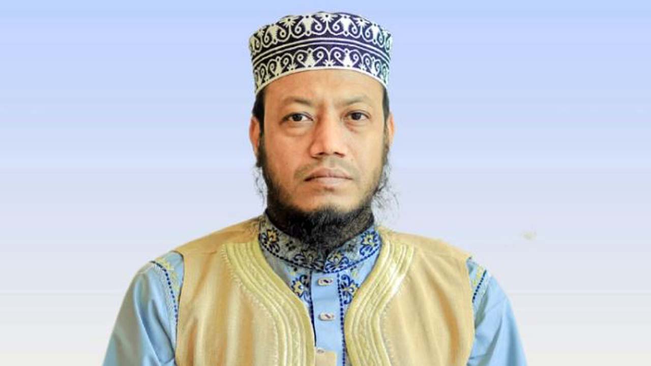 আমির হামজা