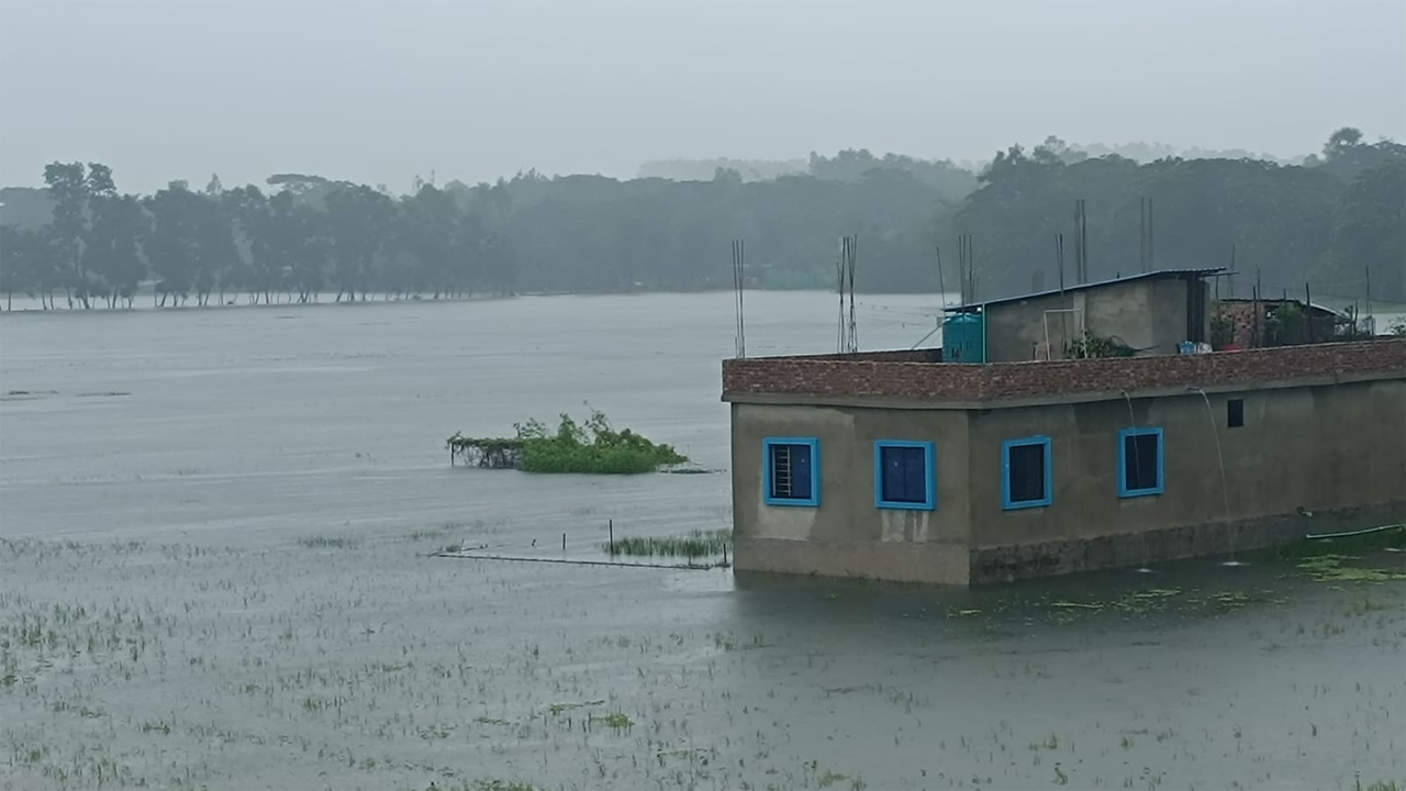 ভারী বর্ষণে ডুবে যাওয়া মাছের ঘের