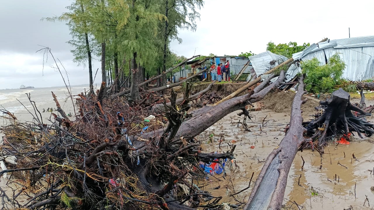 পারকি সৈকতে ঢেউয়ের তাণ্ডব, উপড়ে পড়েছে শত শত ঝাউগাছ