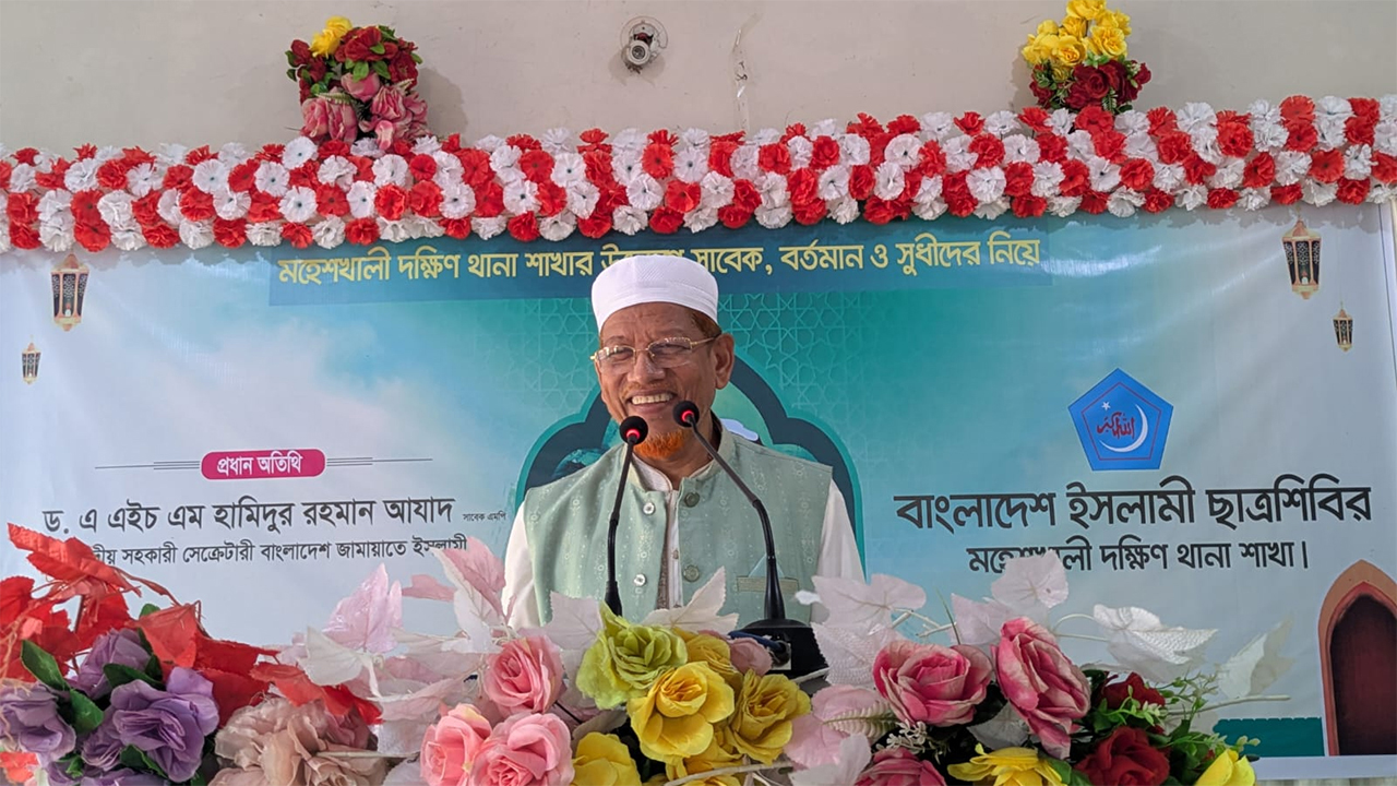 বক্তব্য রাখছেন ড. এ এইচ এম হামিদুর রহমান আযাদ