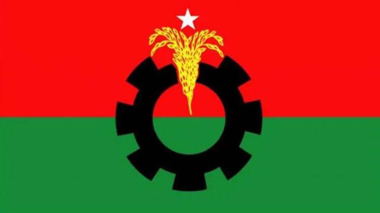 বিএনপির লোগো