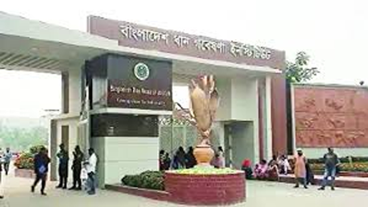 বাংলাদেশ ধান গবেষণা ইনস্টিটিউট (ব্রি)