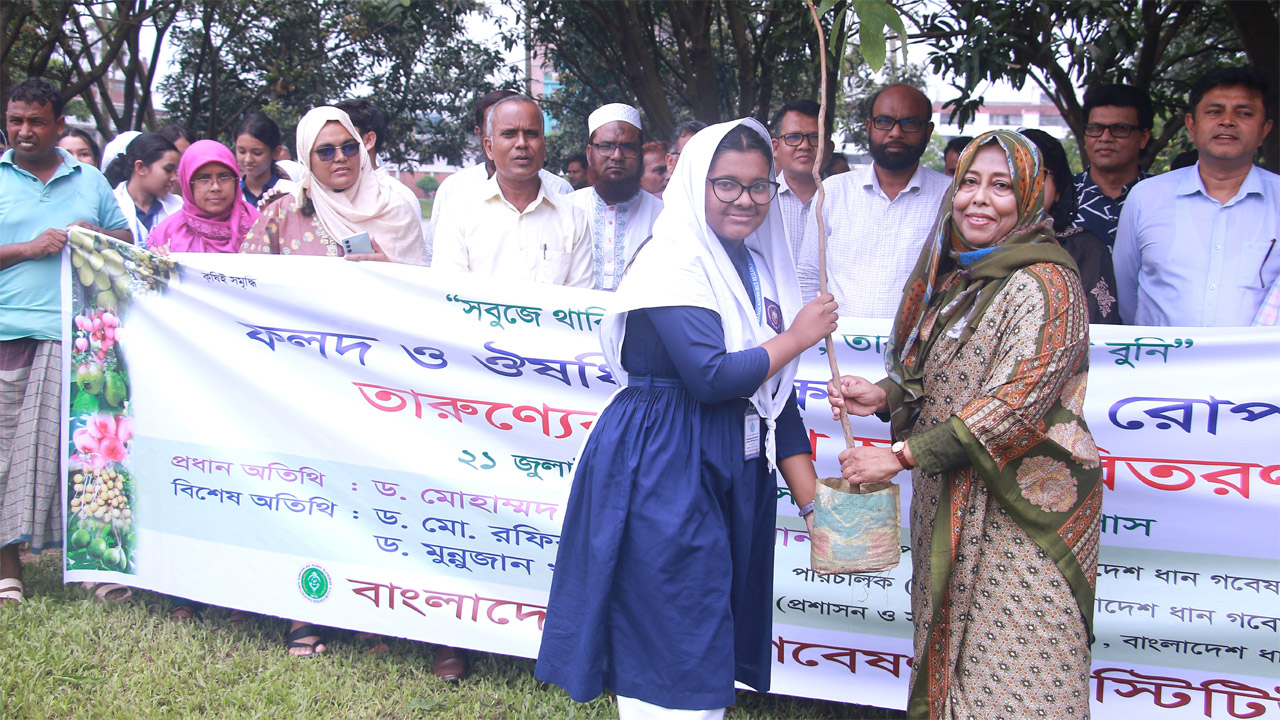তারুণ্য উৎসবে ব্রি’তে বৃক্ষরোপণ ও চারা বিতরণ