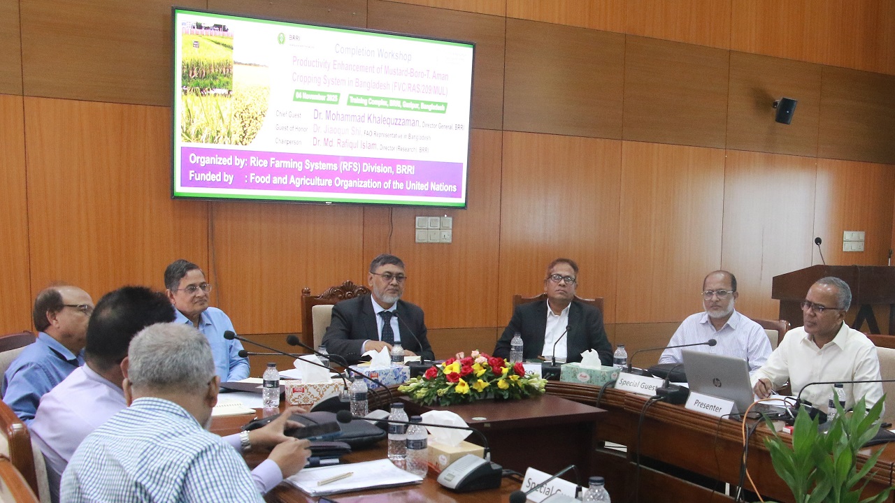 ব্রি’তে ফসল উৎপাদন বৃদ্ধিতে কর্মশালা