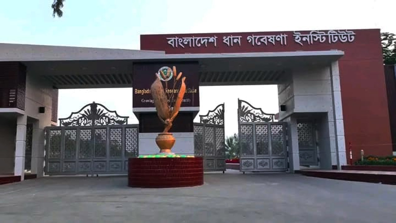 বাংলাদেশ ধান গবেষণা ইনস্টিটিউটের (ব্রি)