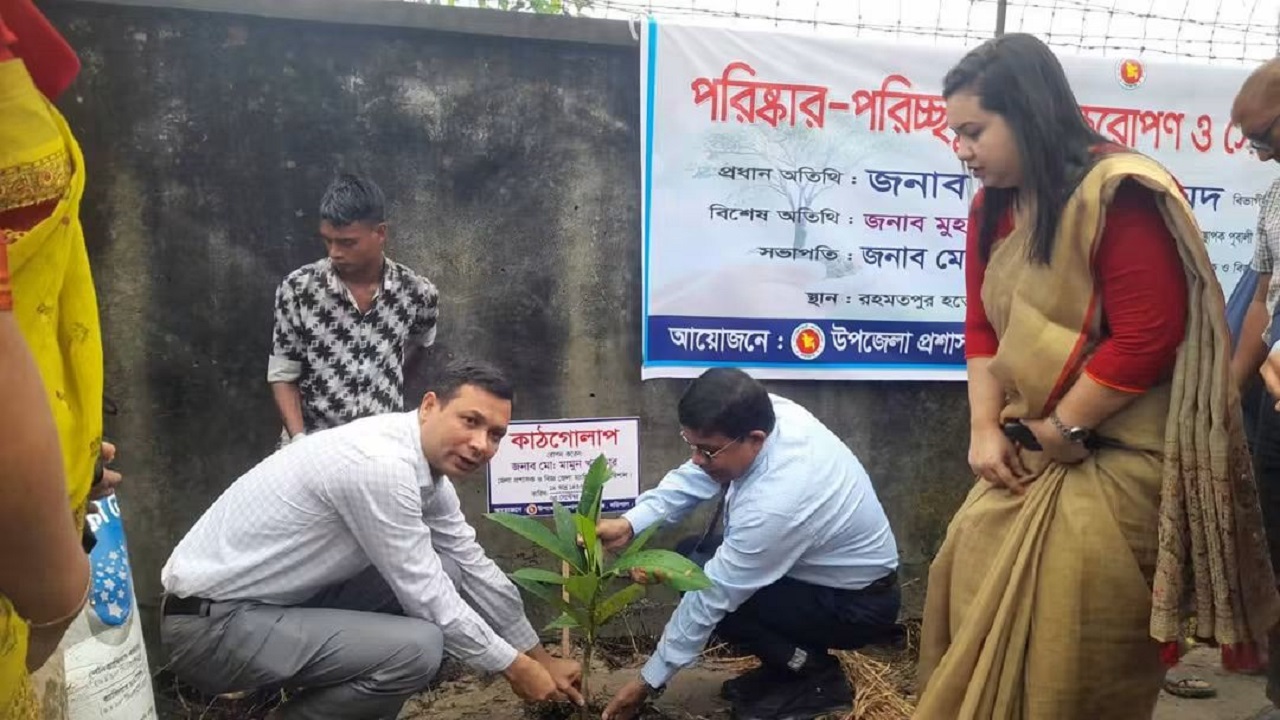 সবুজে সাজছে বাবুগঞ্জ, বৃক্ষরোপণ ও সৌন্দর্যবর্ধনে ব্যতিক্রমী উদ্যোগ