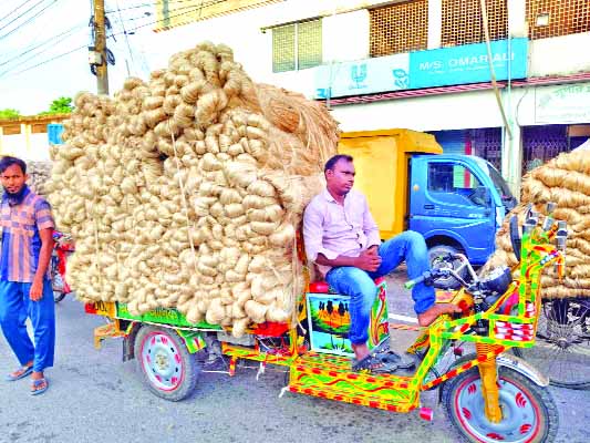 রাজশাহীর নওহাটা পাইকারি হাটে বিক্রির জন্য আনা কৃষকের পাট  : নয়া দিগন্ত
