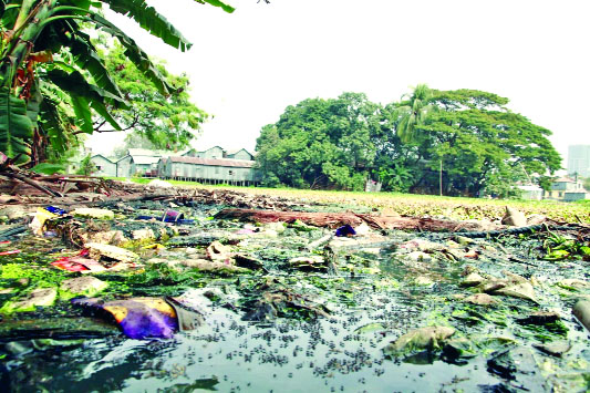 রাজধানীর বিভিন্ন স্থানে পানি জমে থাকায় বেড়েছে মশার প্রজনন। ছবিটি কাজলা এলাকার : নয়া দিগন্ত