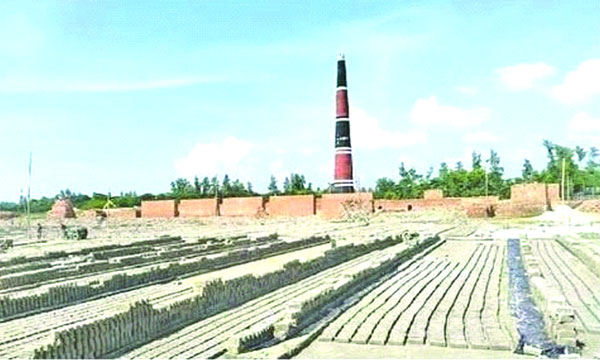 রামগতির একটি অবৈধ ইটভাটায় ইট পোড়ানো হচ্ছে : নয়া দিগন্ত