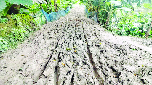 কালিকাপুর ইউনিয়নের পাইকড়া সড়কের দৃশ্য : নয়া দিগন্ত