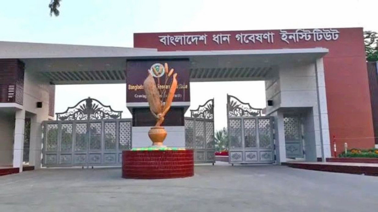 বাংলাদেশ ধান গবেষণা ইনস্টিটিউট