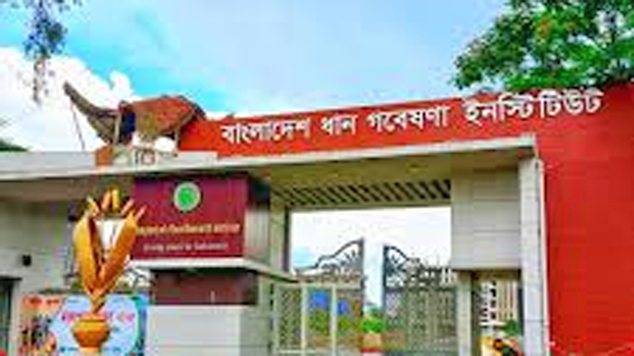 বাংলাদেশ ধান গবেষণা ইনস্টিটিউট