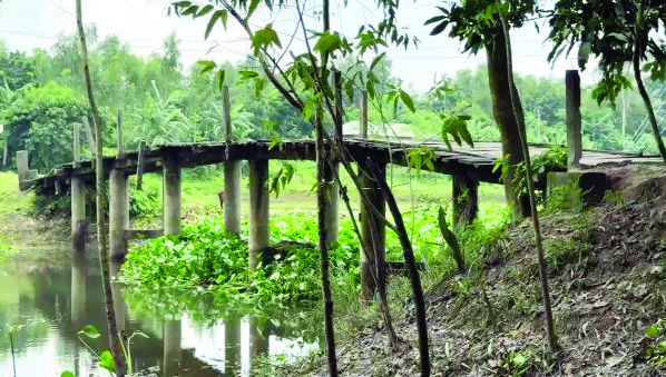 দিনাজপুরের ঘোড়াঘাট উপজেলার সিংড়া ইউনিয়নের দেউলী ঘাটে কাঠের পুল হ নয়া দিগন্ত