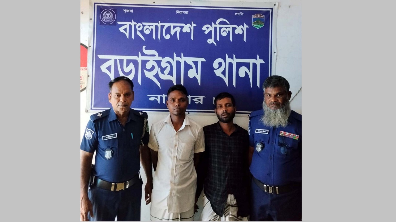 বড়াইগ্রামে চুরির ৮ ঘণ্টার মধ্যে তিন গরু-মহিষ উদ্ধার : গ্রেফতার ১
