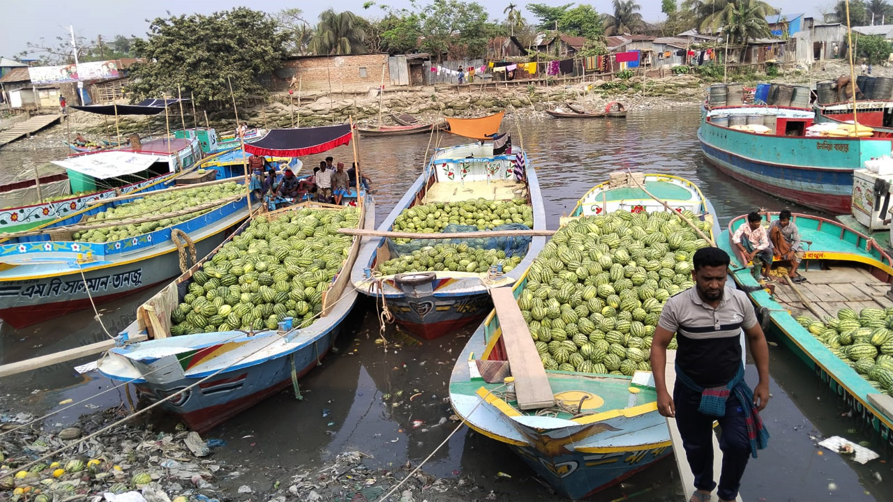 বাম্পার ফলনেও বরিশালে তরমুজের দাম চড়া