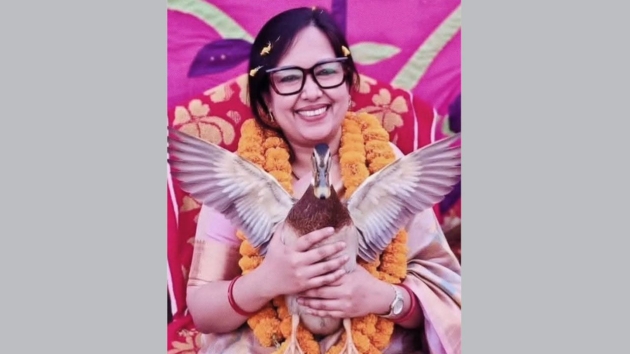 হাঁস নিয়ে ব্যারিস্টার রুমিন ফারহানা