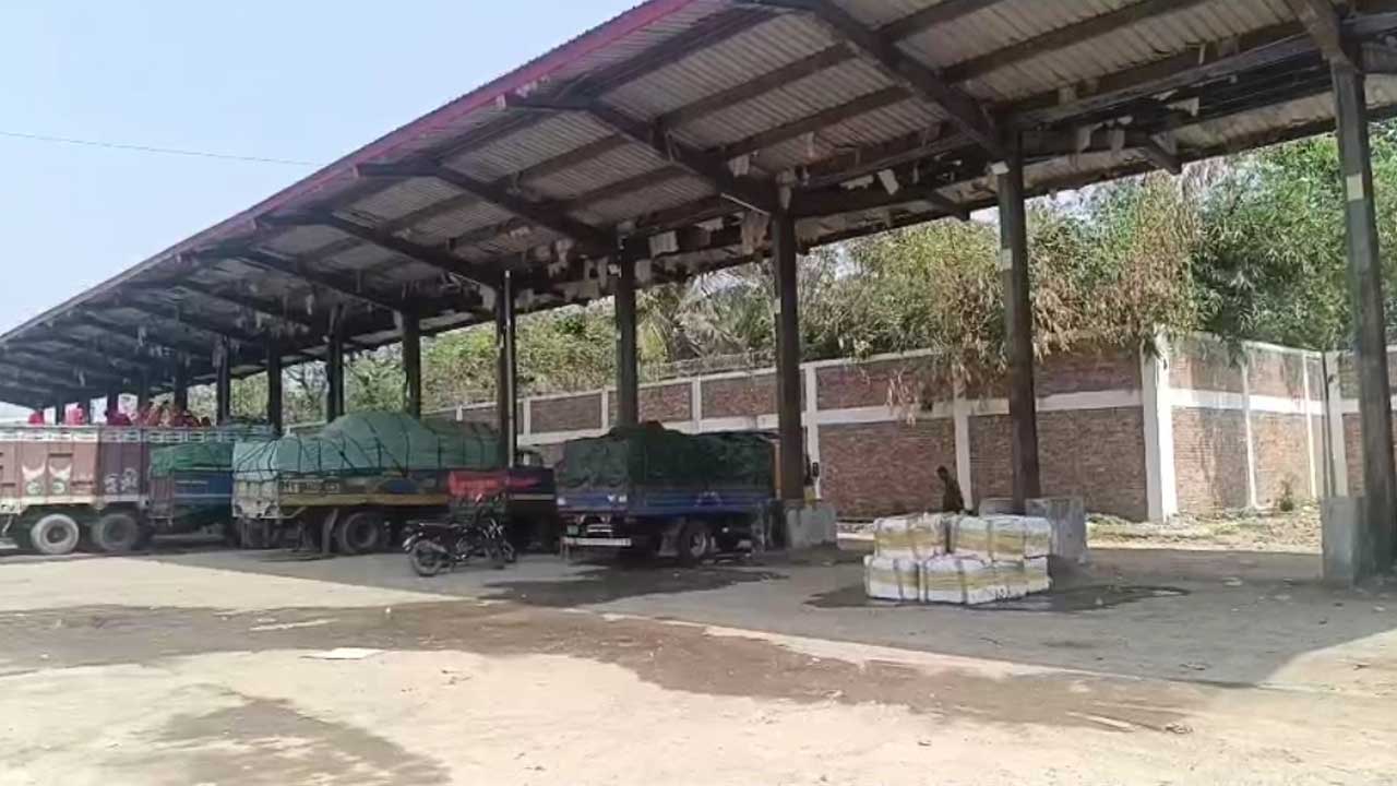 বেনাপোল স্থলবন্দরে জব্দ ভারত থেকে আমদানি করা মাছের চালান