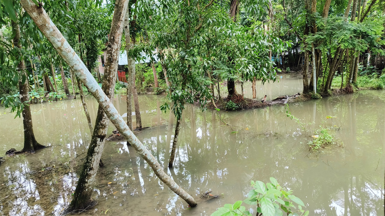 টানা বর্ষণে বেতাগী পৌরসভা ও নিম্নাঞ্চলে পানিবন্দি শতাধিক পরিবার