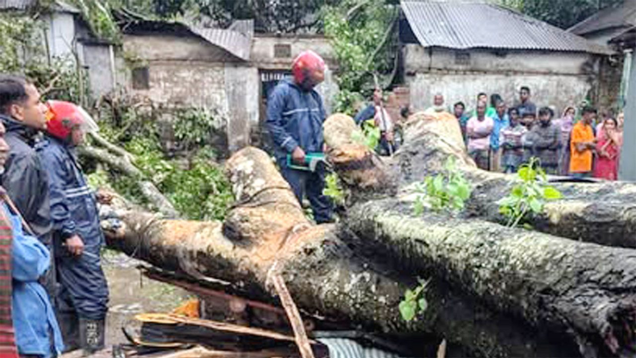 গাছ কেটে ‍উদ্ধার অভিযান চালাচ্ছেন ফায়ার সার্ভিসের কর্মীরা