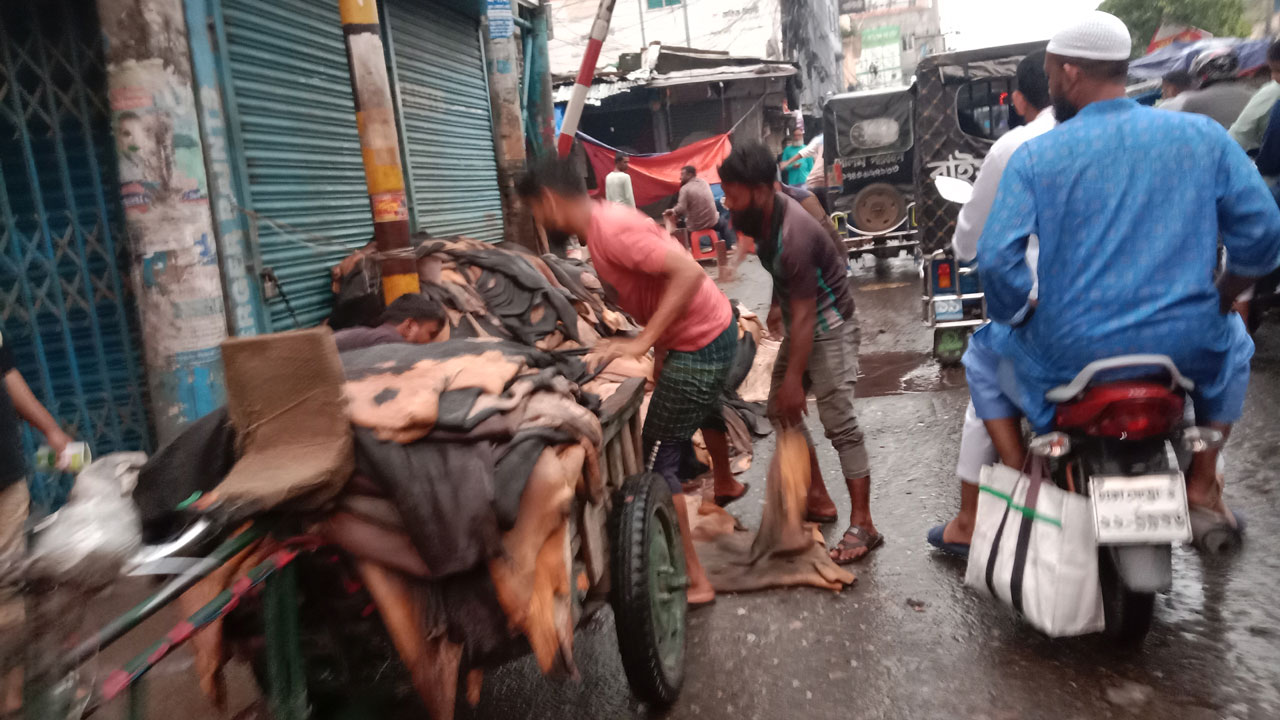 বগুড়ায় এবারো চামড়ার ভালো দাম পাওয়া যায়নি