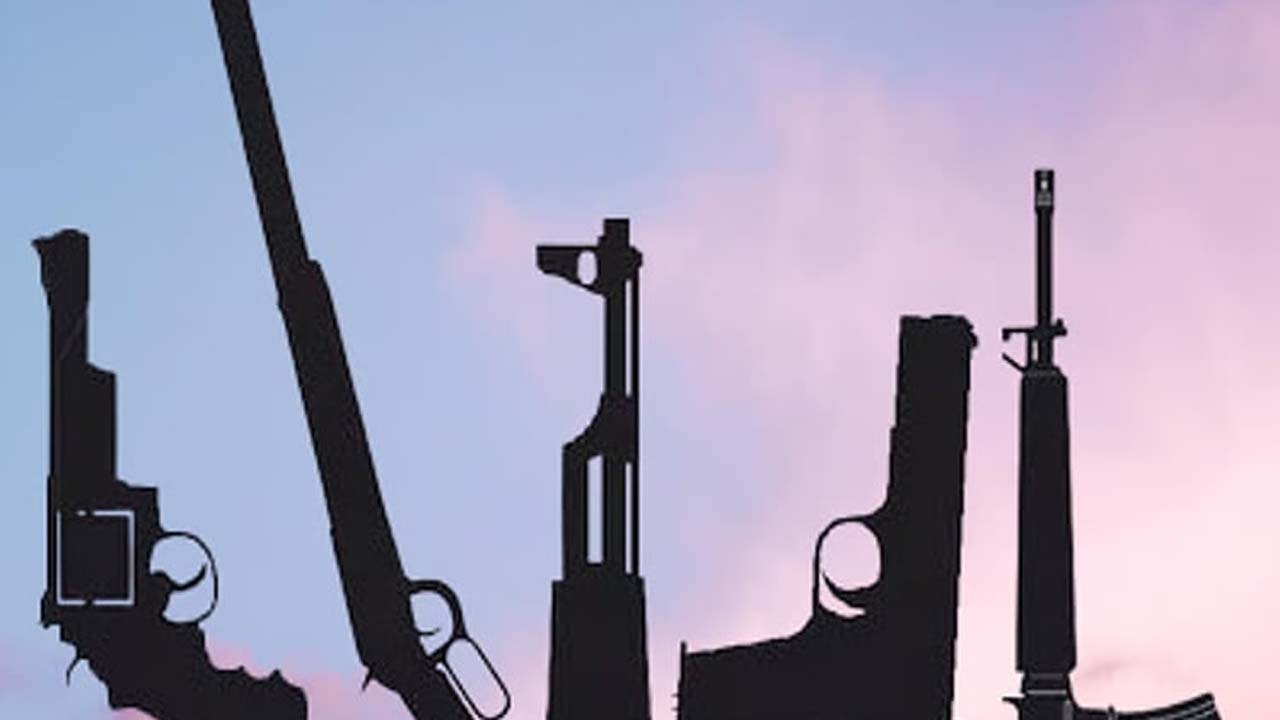 আগ্নেয়াস্ত্র