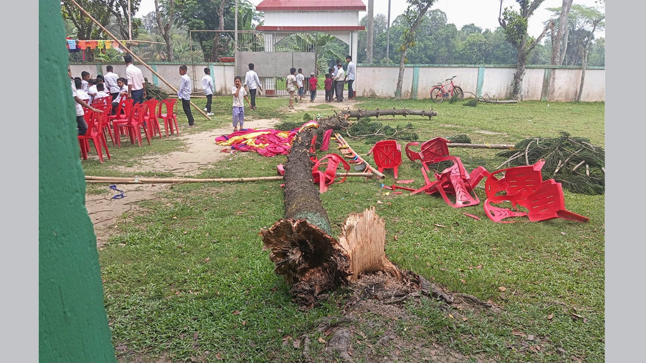 বুড়িচংয়ে পরীক্ষার্থীদের বিদায় অনুষ্ঠানে গাছ উপড়ে অল্পের জন্য রক্ষা পেল ৪ শতাধিক শিক্ষার্থী