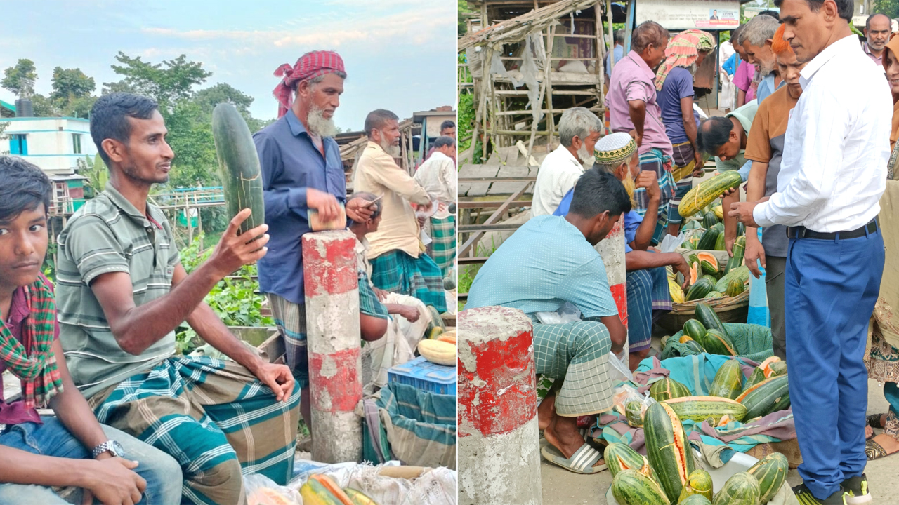 ঘিওরে মহাসড়কের পাশে কৃষকের টাটকা বাঙ্গি বিক্রি