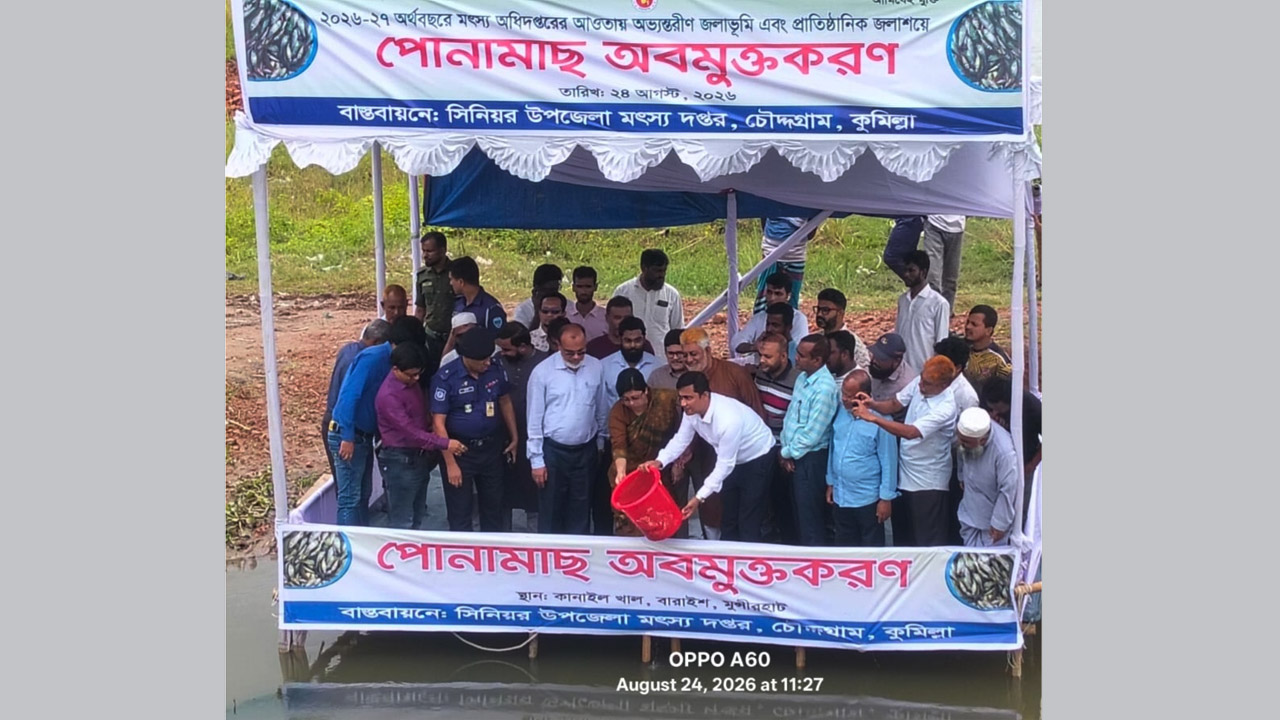 চৌদ্দগ্রামে মাছের পোনা অবমুক্ত করলেন জেলা প্রশাসক