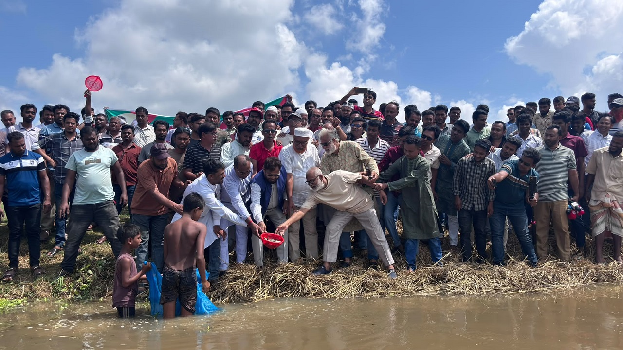 তাড়াশে যুবদল নেতা মাসুমের অর্থায়নে উন্মুক্ত জলাশয়ে ৫০ মণ মাছের পোনা অবমুক্ত
