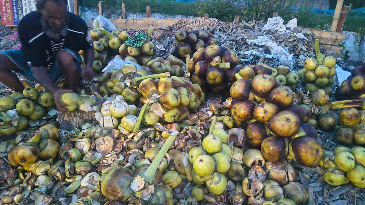 মৌসুমি ফল তালের শাঁস