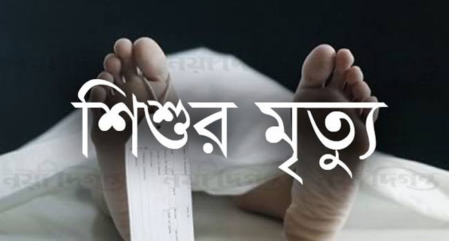 বাগাতিপাড়ায় সাপের কামড়ে এক শিশুর মৃত্যু হয়েছে