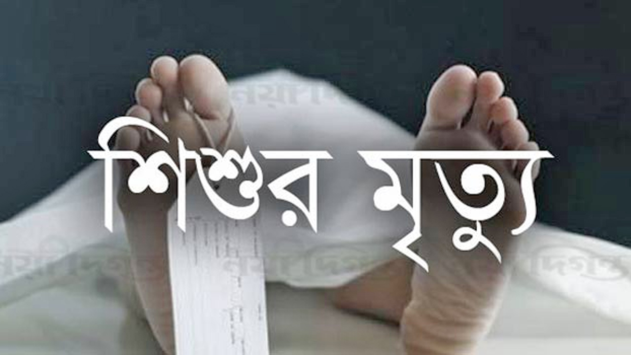 বজ্রপাতে ২ শিশুর মৃত্যু