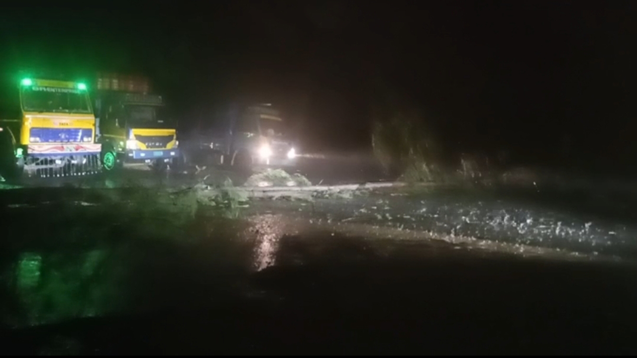 সড়কে গাছ ভেঙে যান চলাচলে ব্যাঘাত হয়