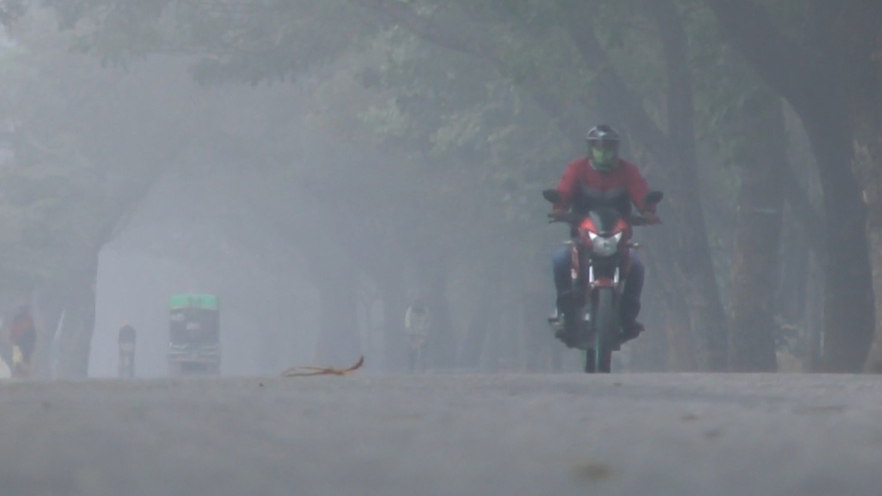 শীতের সকালে চুয়াডাঙ্গার সড়ক