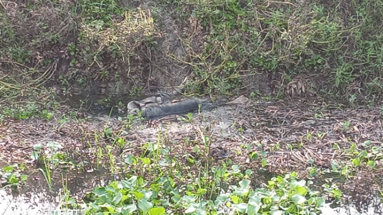 খালের মধ্যে অর্ধগলিত লাশ