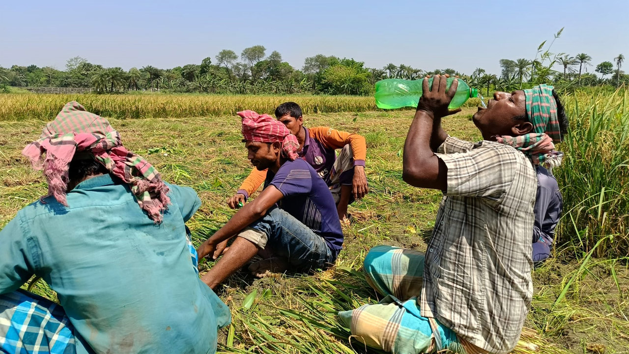 চুয়াডাঙ্গায় টানা তিনদিন দেশের সর্বোচ্চ তাপমাত্রা