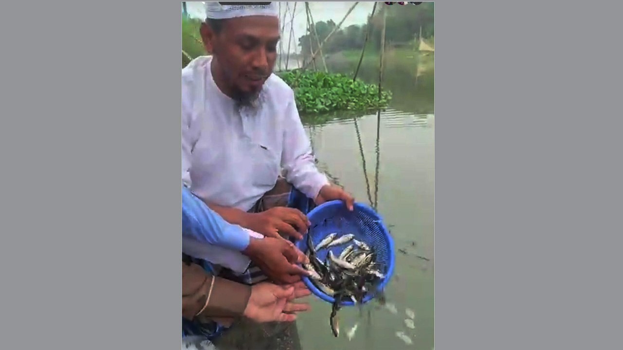 কুমিল্লায় গোমতী নদীতে মাছের পোনা অবমুক্ত করলেন বক্তা রফিক আফসারী