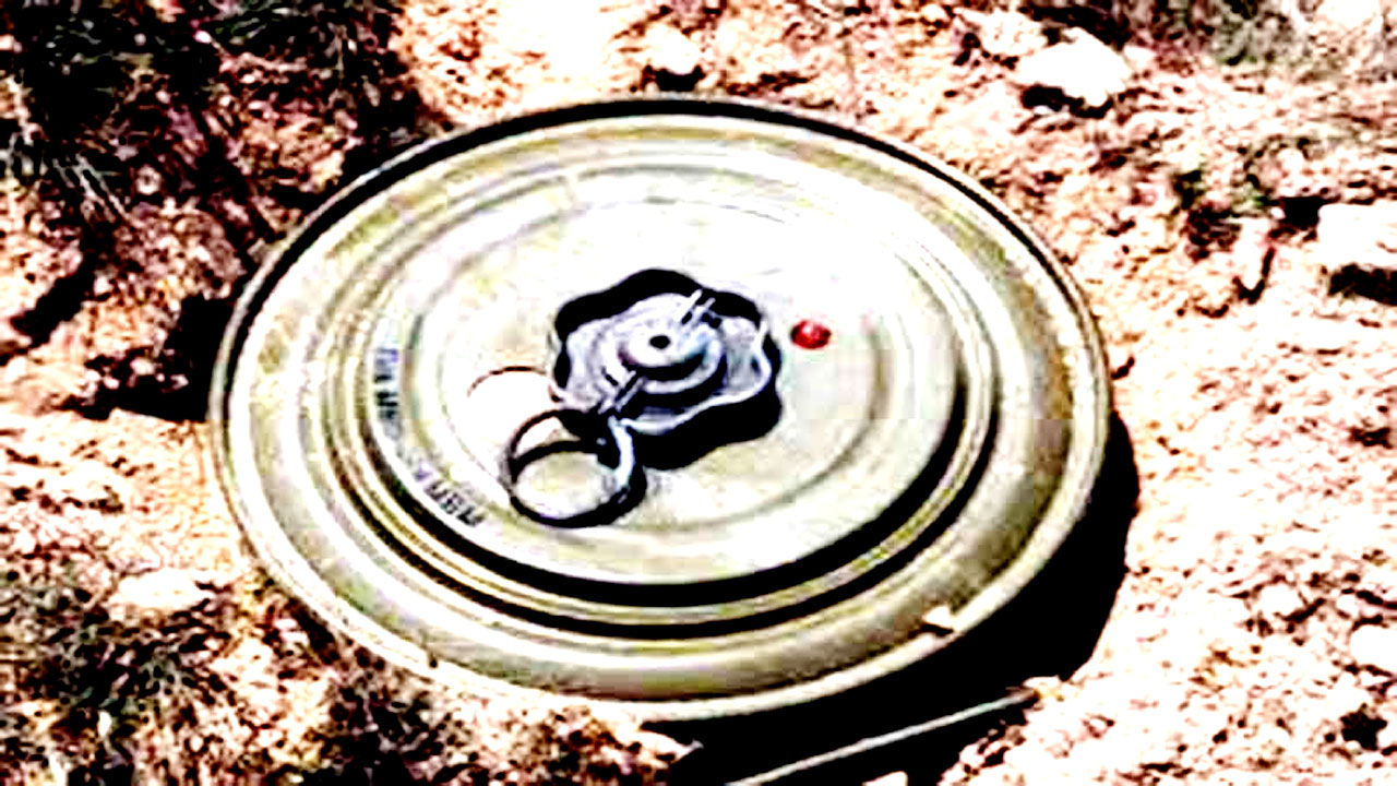 স্থলমাইন