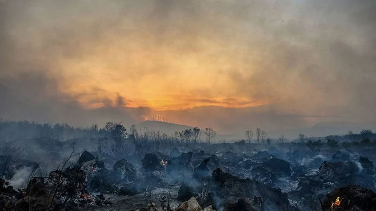 ক্রোয়েশিয়ার অ্যাড্রিয়াটিক উপকূলে দাবানল ছড়িয়ে পড়েছে