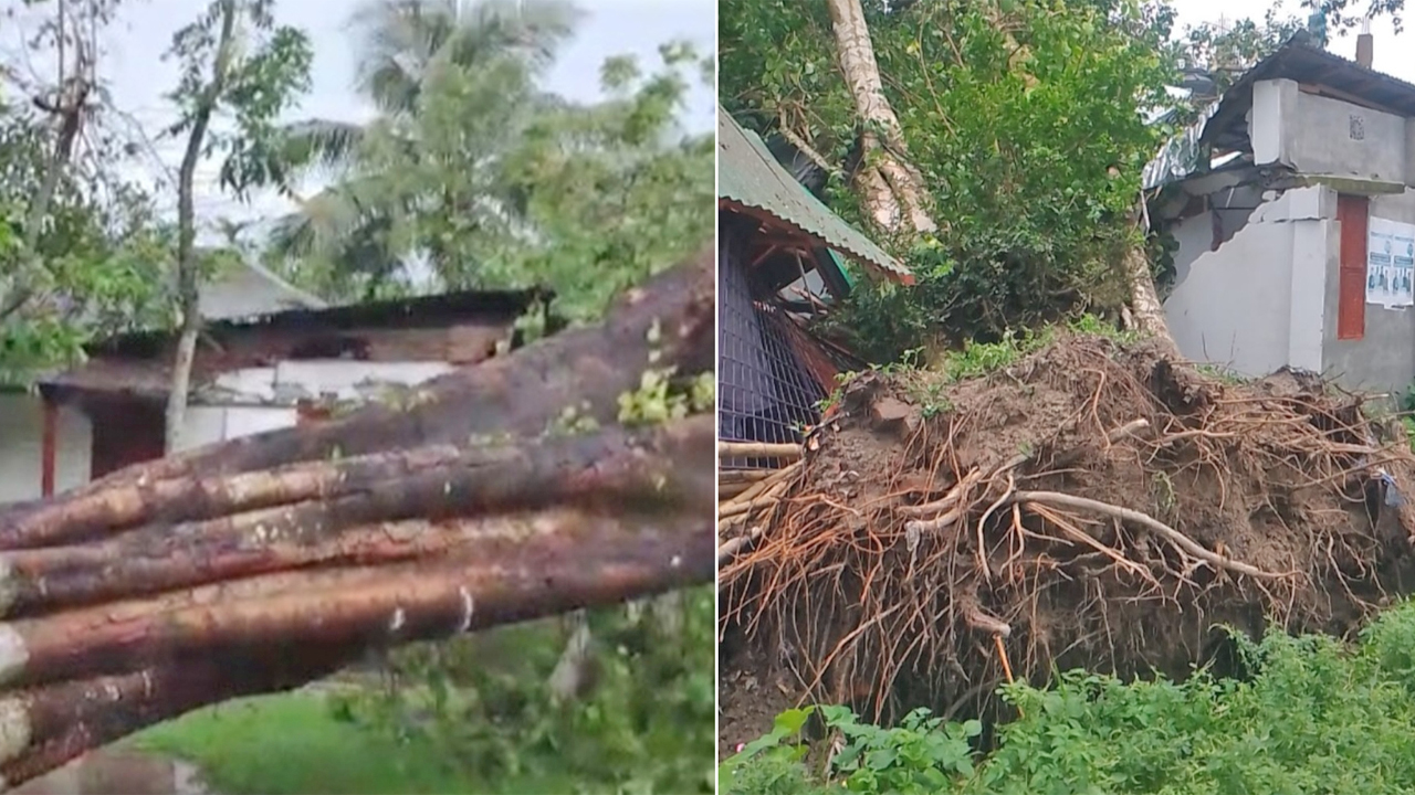 কালবৈশাখীর তাণ্ডবে ঘরবাড়ি ও গাছ ক্ষতিগ্রস্ত