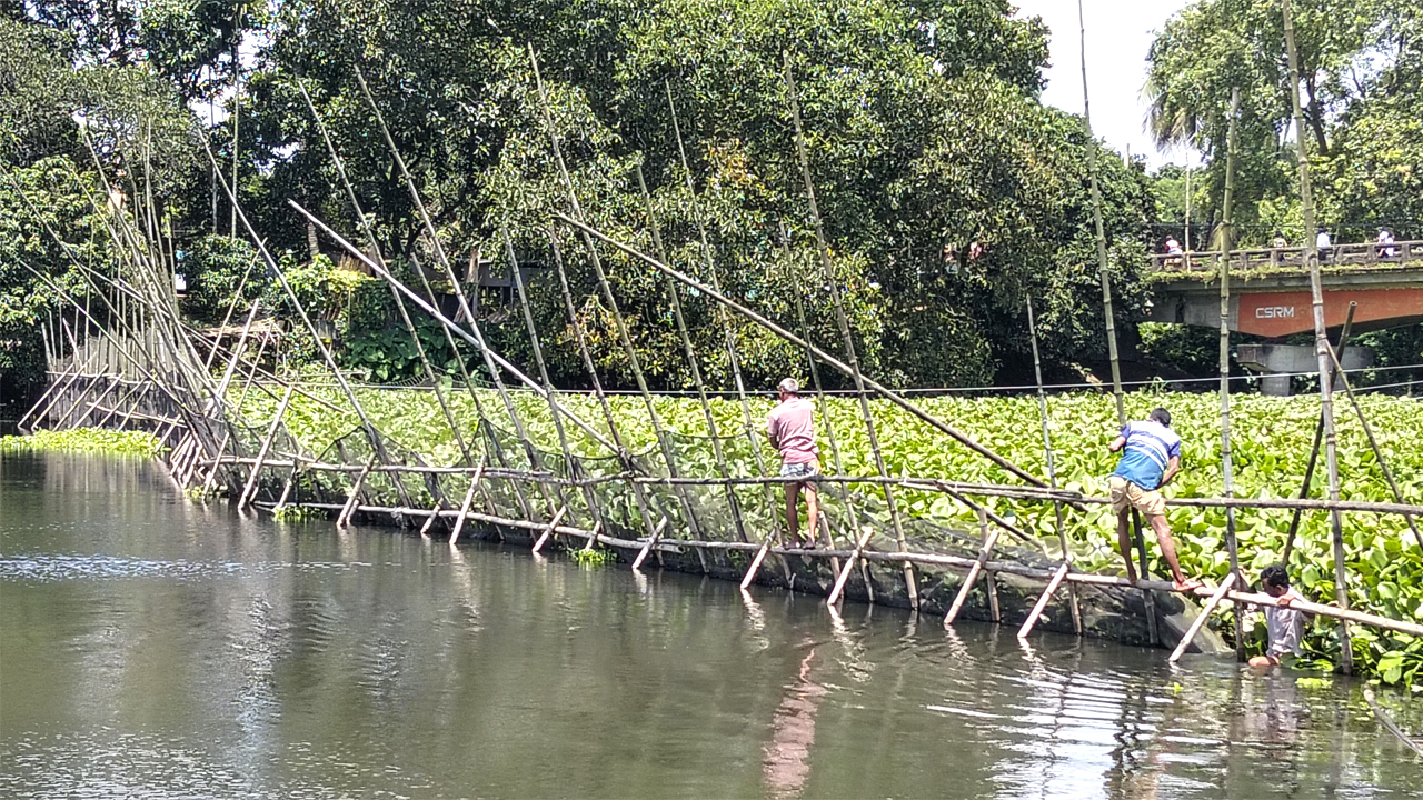 নদী থেকে বাঁশ ও জালের অবৈধ বাঁধ অপসারণ