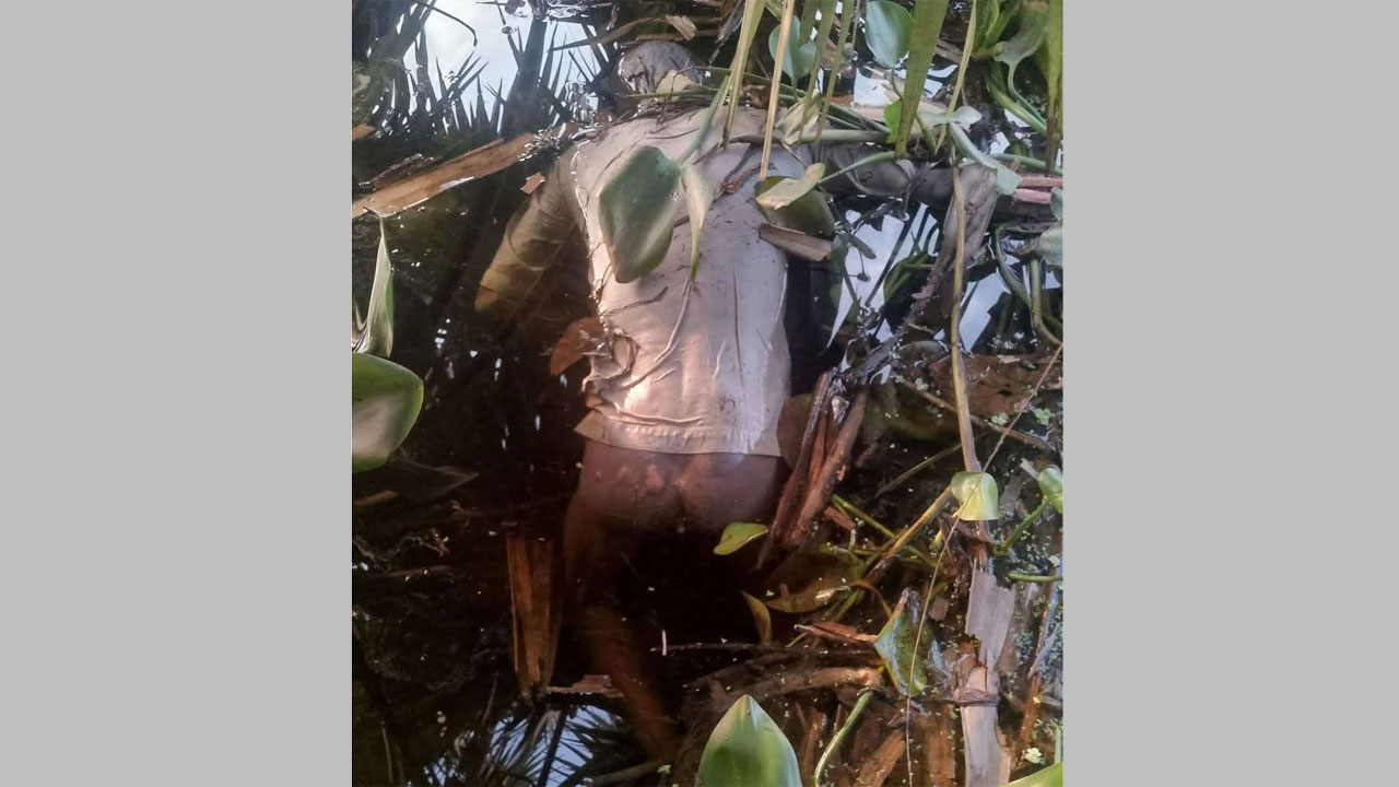 বগুড়ার আদমদীঘি থানার সীমান্ত রেখার জঙ্গলের পাশের এক ডোবা থেকে অজ্ঞাত পরিচয়ের পুরুষের লাশ উদ্ধার