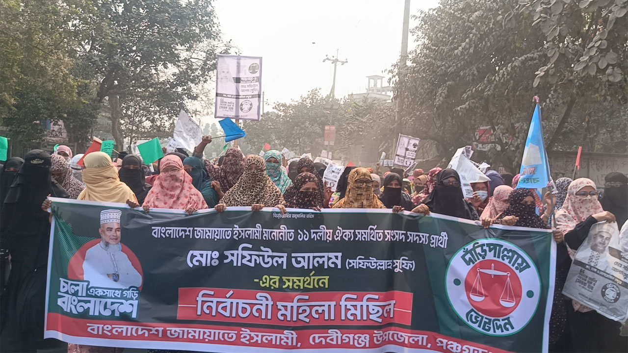 নির্বাচনী মিছিল
