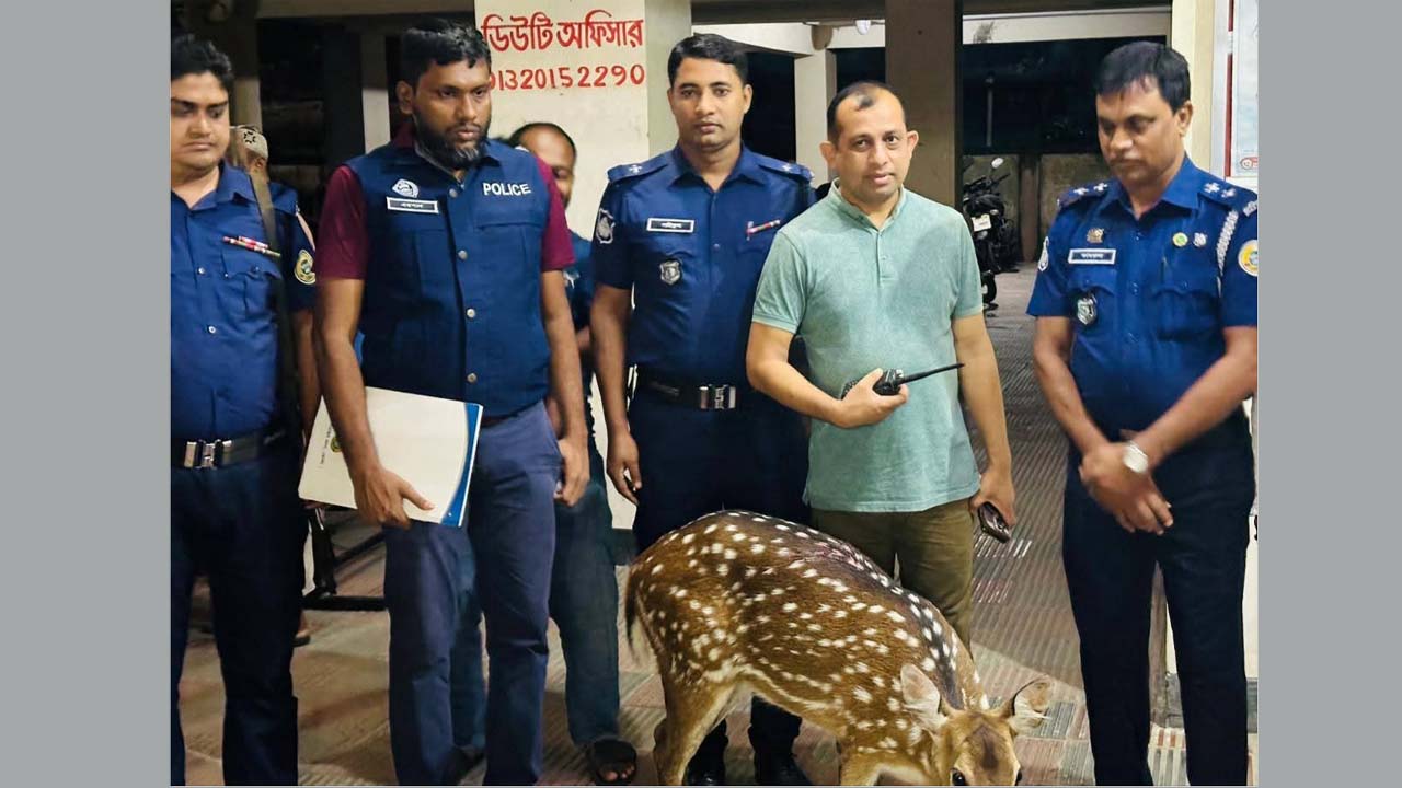 চিত্রা হরিণ উদ্ধার