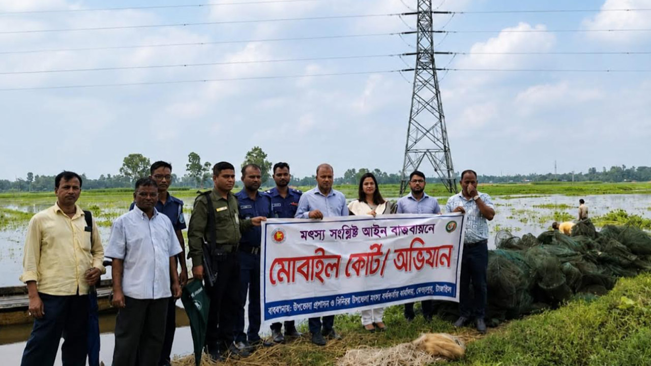 দেলদুয়ারে নিষিদ্ধ চায়না জাল জব্দ ও ধ্বংস