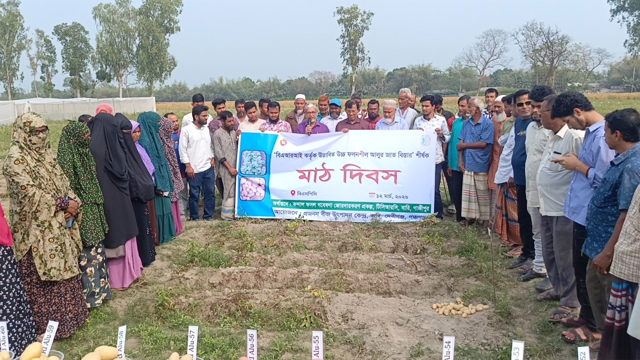 দেবীগঞ্জে উচ্চ ফলনশীল আলুর জাত বিস্তারে মাঠ দিবস অনুষ্ঠিত