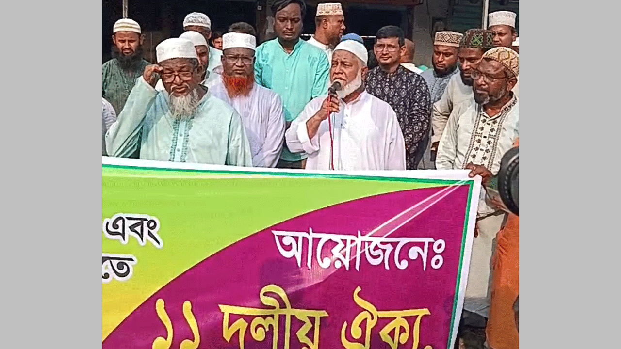 সীমান্ত হত্যা ও পুশইনের প্রতিবাদে ১১ দলীয় ঐক্যের বিক্ষোভ