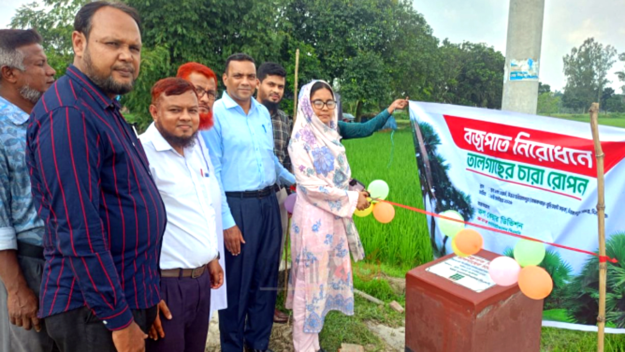 বজ্রপাত প্রতিরোধে তালগাছের চারা রোপণ